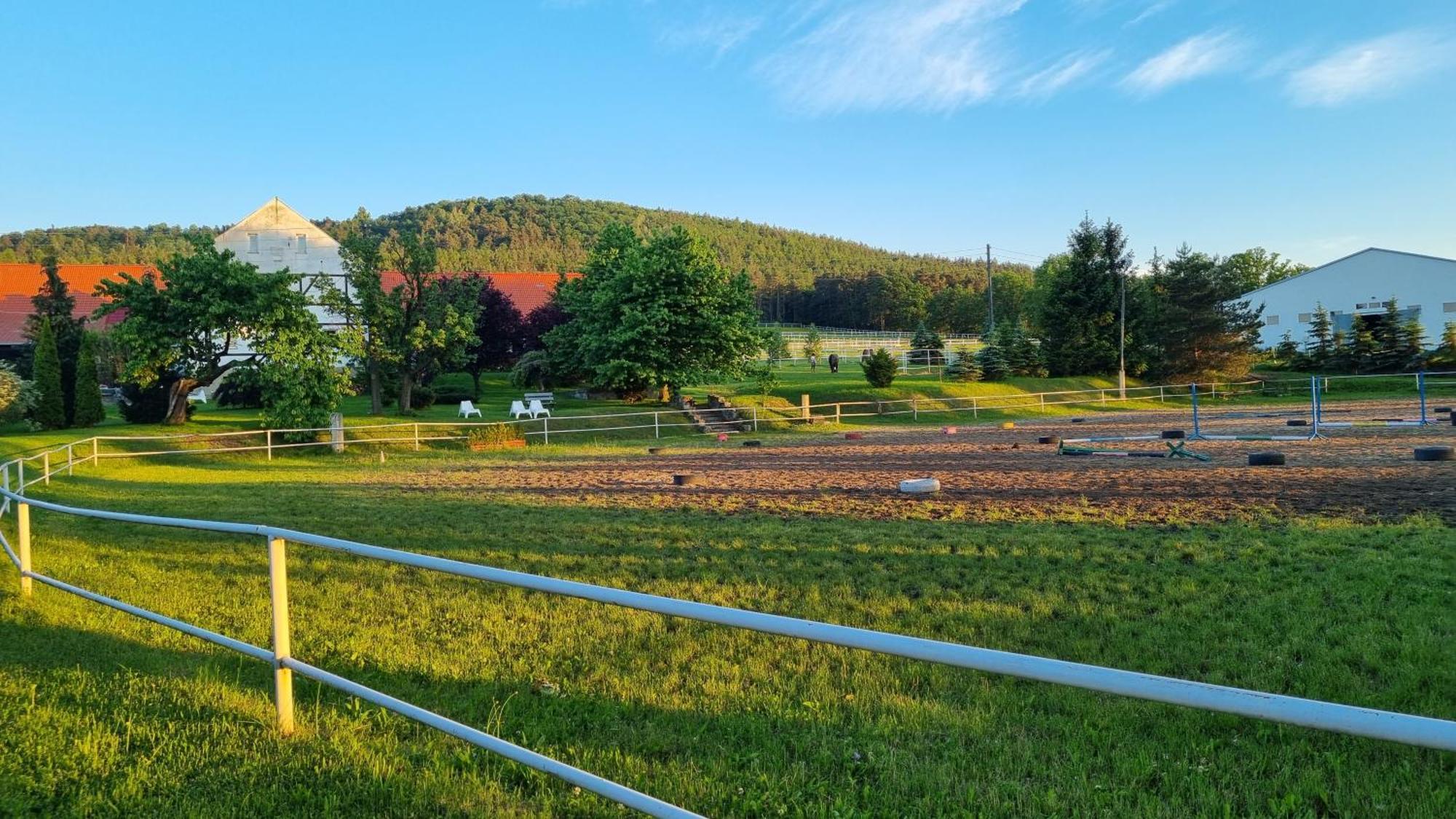 Folwark Leszczynówka Srebrna Góra Exterior foto