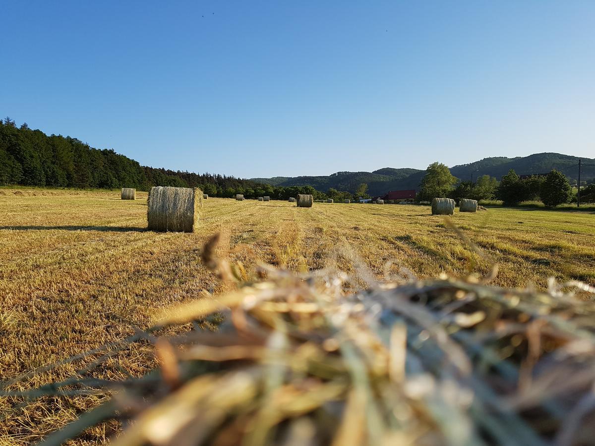 Folwark Leszczynówka Srebrna Góra Exterior foto